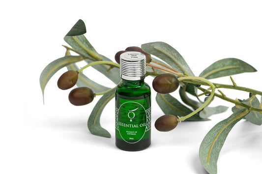 Essential Oil, Lemon Scented Tea Tree, 20ml-0