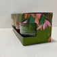 OOSC Giftpack, Premium Olive Oil Candles Trio Set: Rose Geranium, Citrus Bloom and Lemongrass and Ginger-3